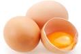 5 Fakta Tentang Telur